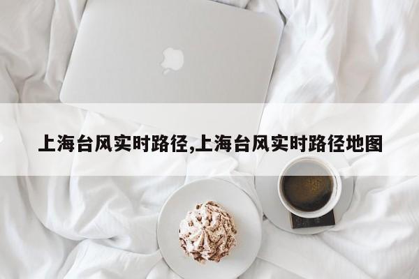 上海台风实时路径,上海台风实时路径地图 第1张
