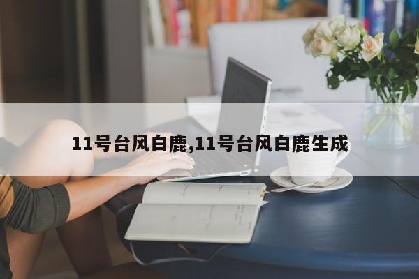 11号台风白鹿,11号台风白鹿生成 第1张