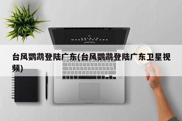 台风鹦鹉登陆广东(台风鹦鹉登陆广东卫星视频) 第1张