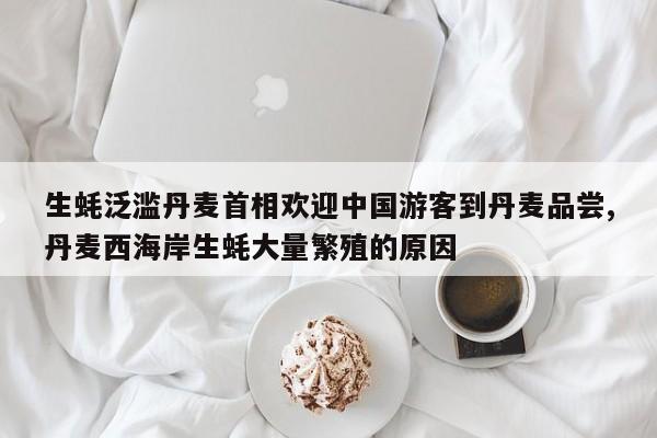 生蚝泛滥丹麦首相欢迎中国游客到丹麦品尝,丹麦西海岸生蚝大量繁殖的原因