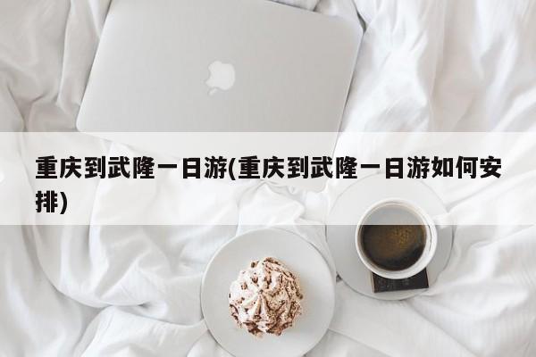 重庆到武隆一日游(重庆到武隆一日游如何安排)