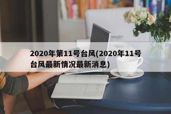 2020年第11号台风(2020年11号台风最新情况最新消息) 第1张