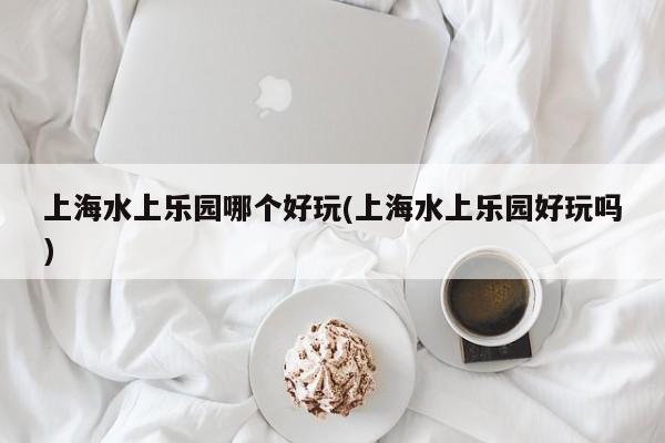 上海水上乐园哪个好玩(上海水上乐园好玩吗)