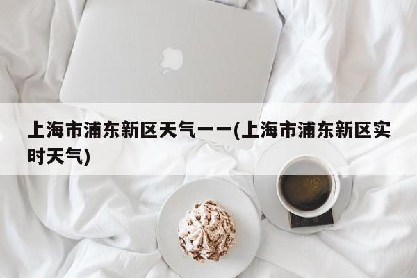 上海市浦东新区天气一一(上海市浦东新区实时天气) 第1张