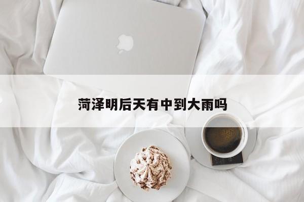 菏泽明后天有中到大雨吗 第1张