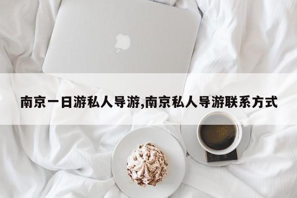 南京一日游私人导游,南京私人导游联系方式