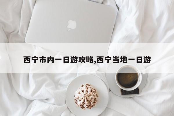 西宁市内一日游攻略,西宁当地一日游 第1张