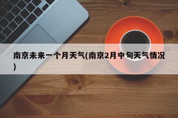南京未来一个月天气(南京2月中旬天气情况)