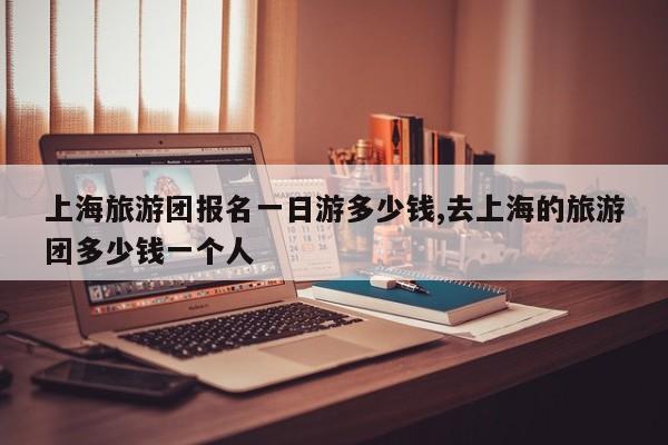 上海旅游团报名一日游多少钱,去上海的旅游团多少钱一个人