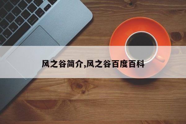 风之谷简介,风之谷百度百科