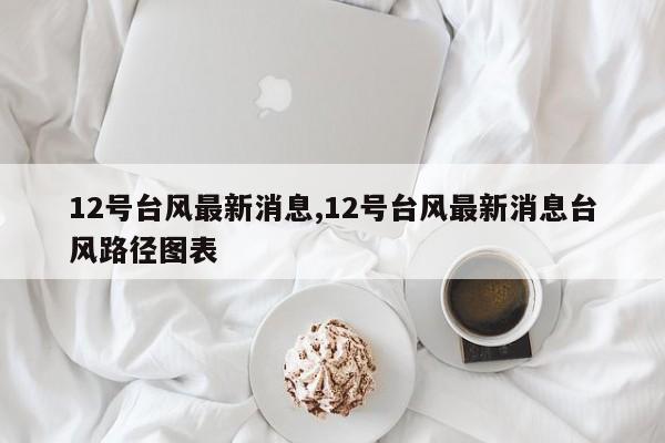 12号台风最新消息,12号台风最新消息台风路径图表 第1张