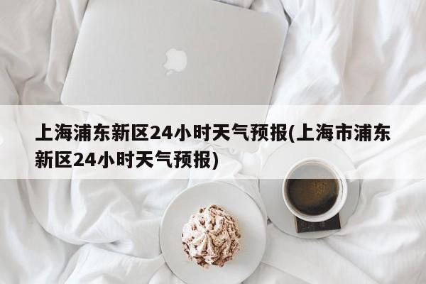 上海浦东新区24小时天气预报(上海市浦东新区24小时天气预报) 第1张