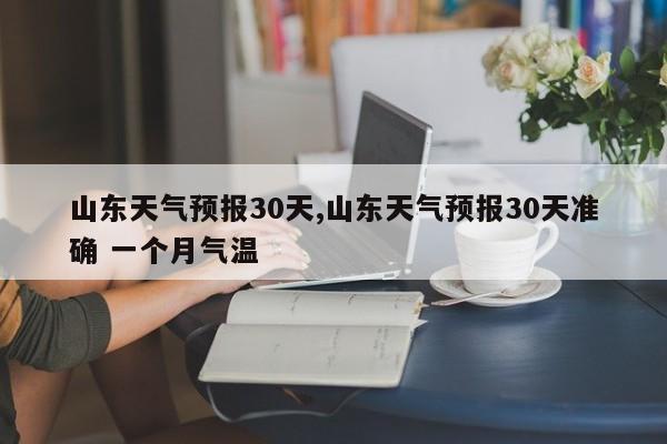 山东天气预报30天,山东天气预报30天准确 一个月气温 第1张