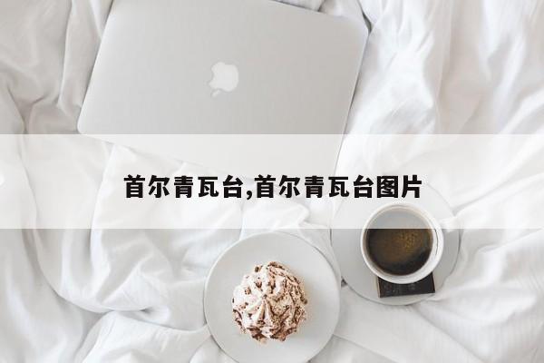 首尔青瓦台,首尔青瓦台图片