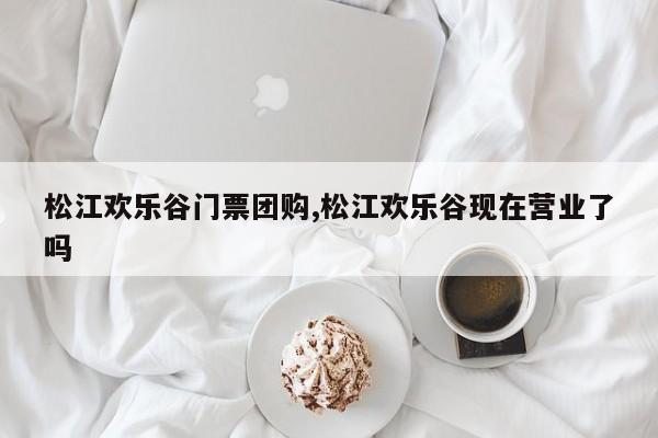 松江欢乐谷门票团购,松江欢乐谷现在营业了吗