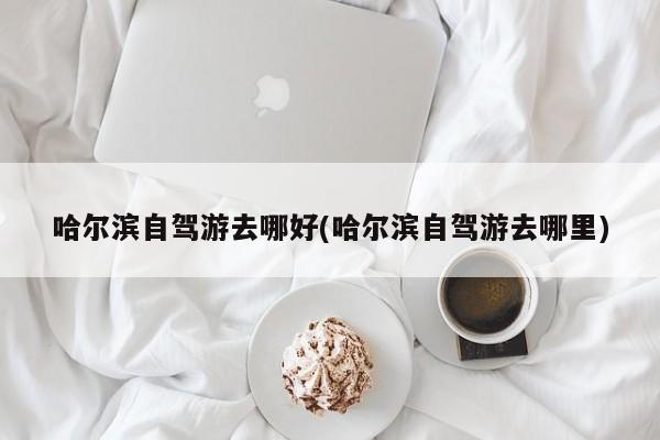 哈尔滨自驾游去哪好(哈尔滨自驾游去哪里) 第1张