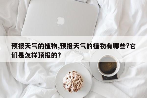 预报天气的植物,预报天气的植物有哪些?它们是怎样预报的?